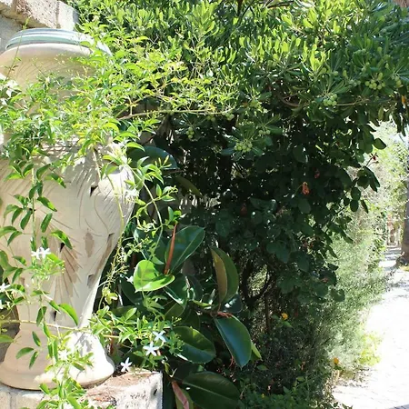 Tiare * ヴィエステ